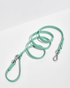 Seafoam